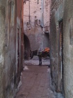 Marrakech dec2004 078 